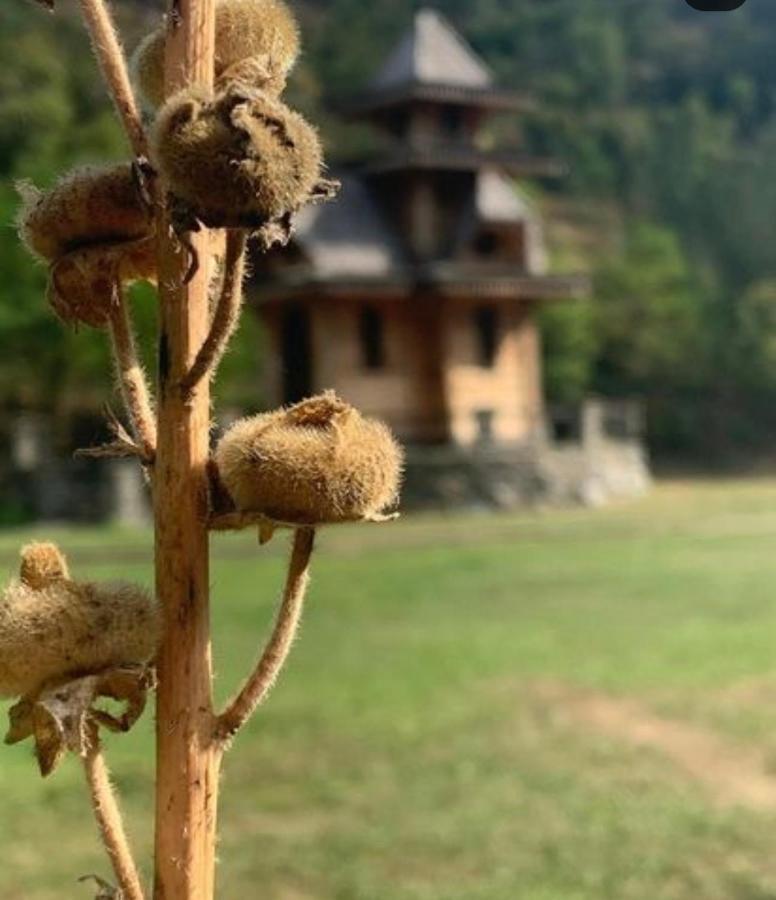 Etno Brvnara Tamara Villa Kremna Dış mekan fotoğraf